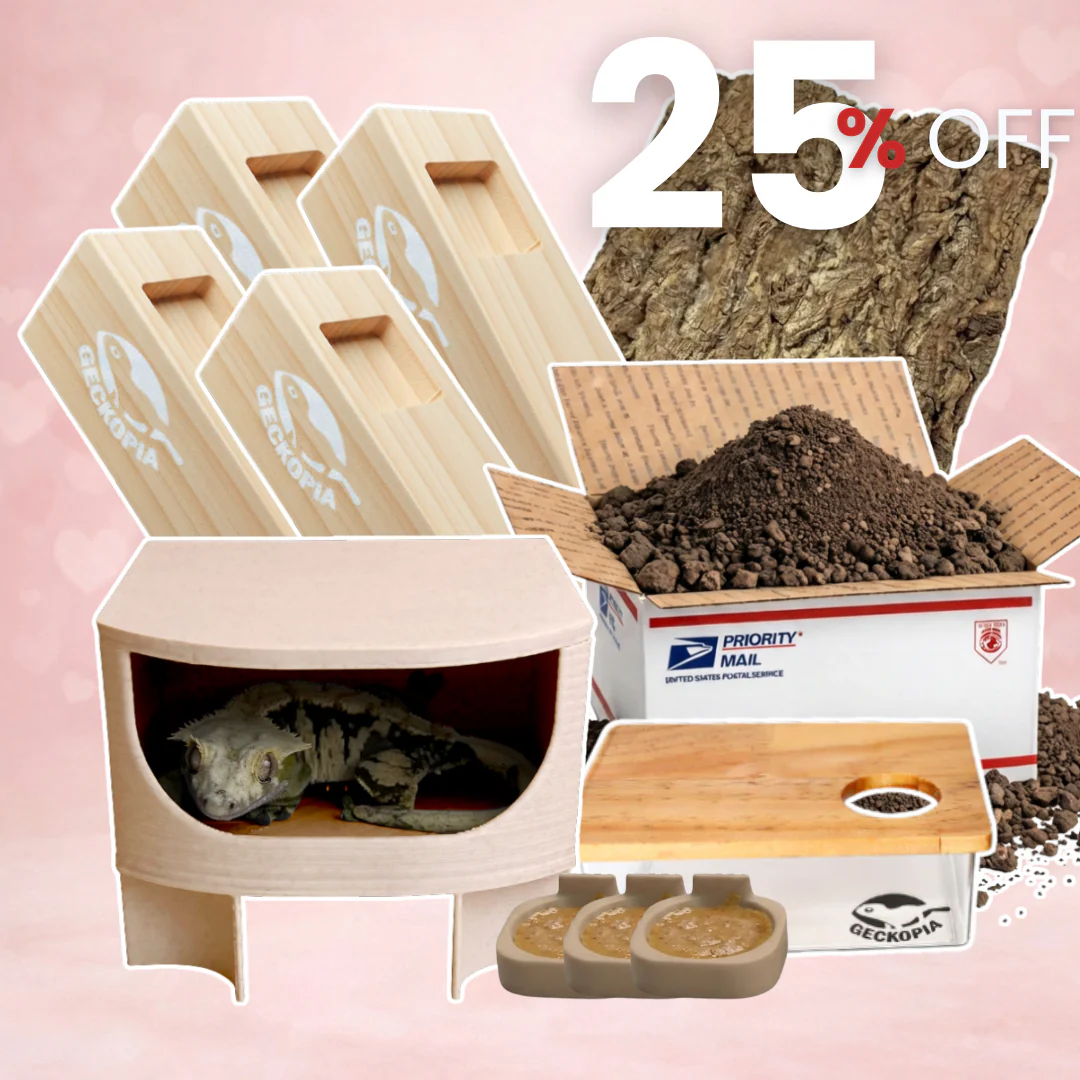 BUNDLE & SAVE